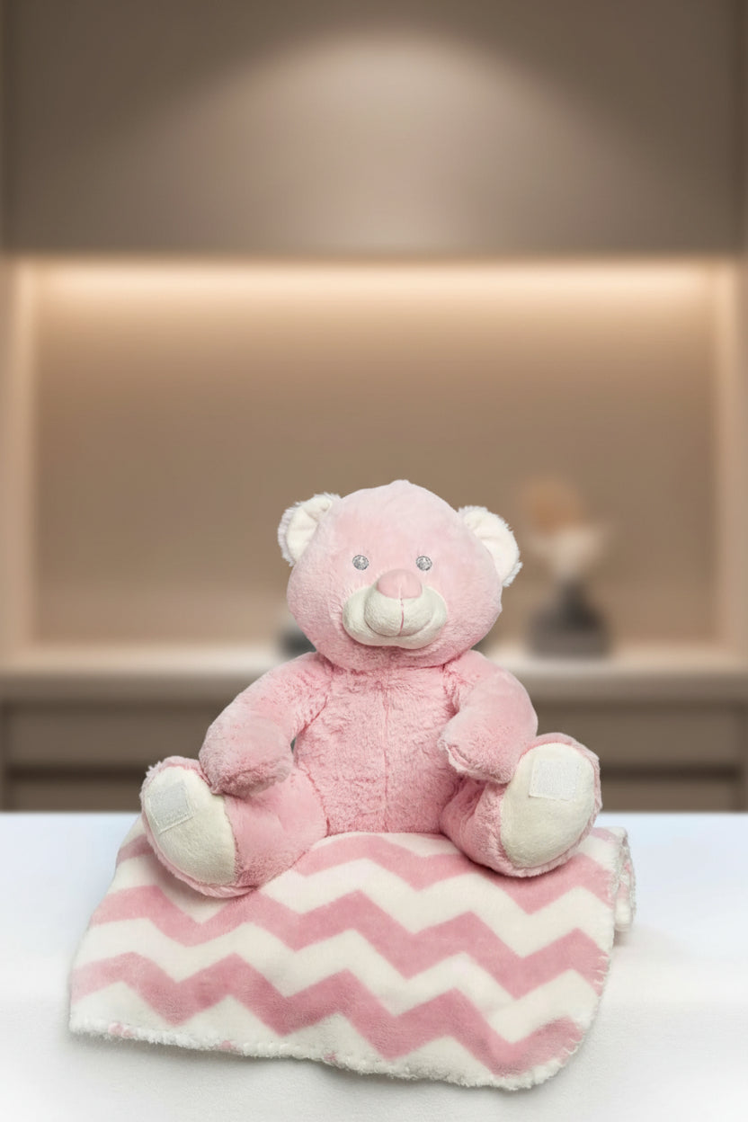 Plush Animal & Blanket