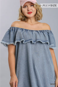 Ruffled Denim Dress