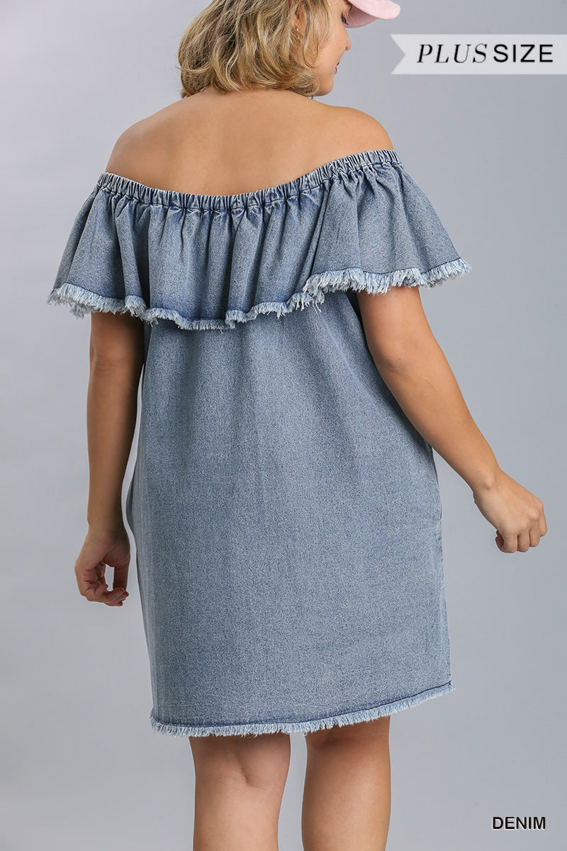 Ruffled Denim Dress